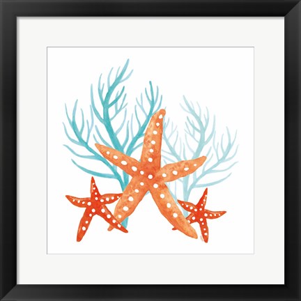 Framed Coral Aqua XIV Print