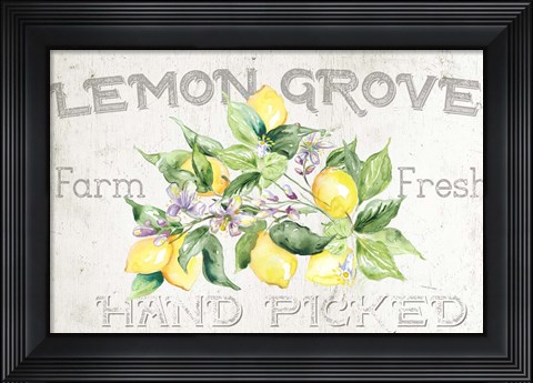 Framed Lemon Grove I Print