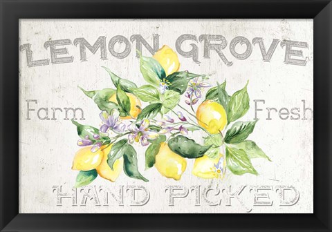 Framed Lemon Grove I Print