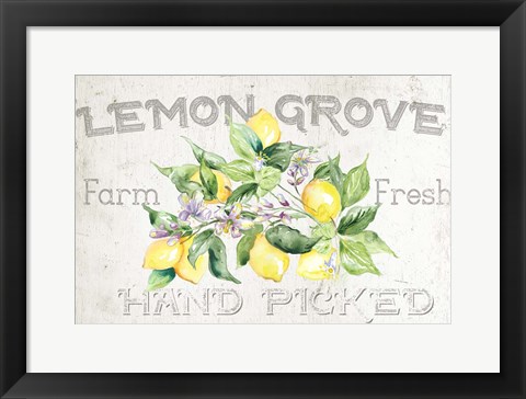 Framed Lemon Grove I Print