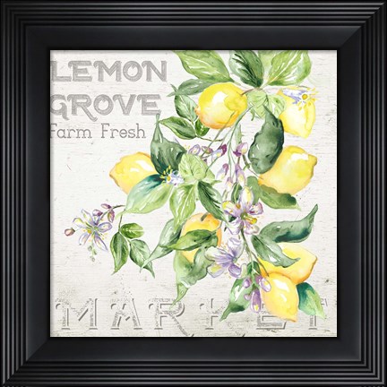 Framed Lemon Grove II Print
