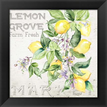 Framed Lemon Grove II Print