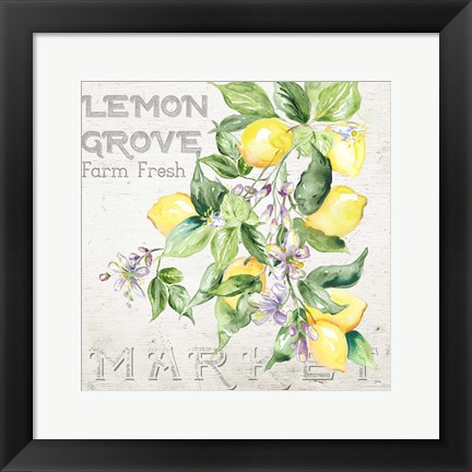 Framed Lemon Grove II Print