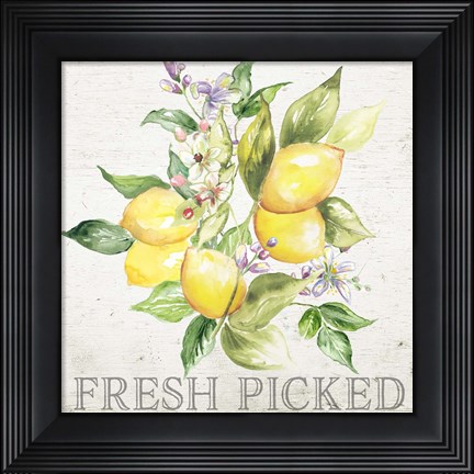 Framed Lemon Grove III Print