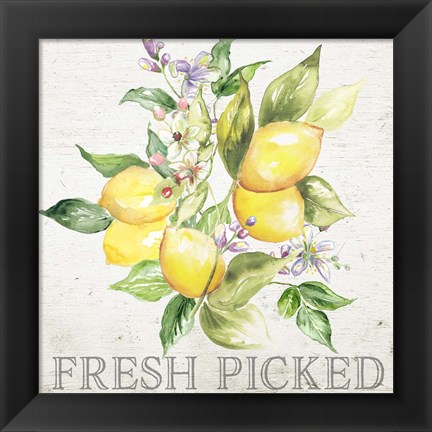 Framed Lemon Grove III Print