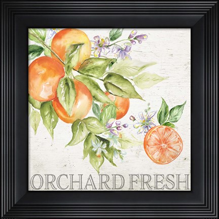 Framed Lemon Grove IV Print
