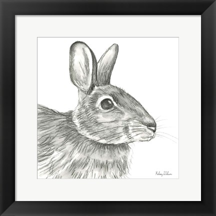 Framed Watercolor Pencil Forest II-Rabbit Print