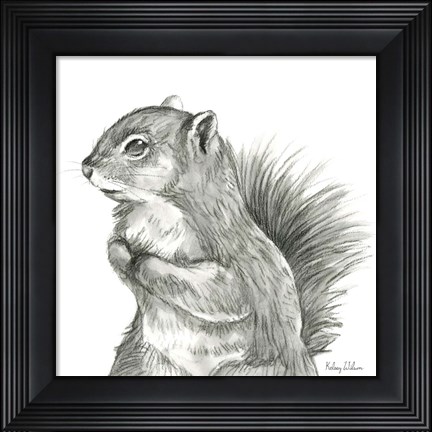 Framed Watercolor Pencil Forest IV-Squirrel Print