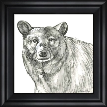 Framed Watercolor Pencil Forest V-Bear Print