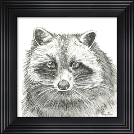 Framed Watercolor Pencil Forest VI-Raccoon Print