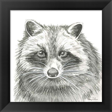 Framed Watercolor Pencil Forest VI-Raccoon Print