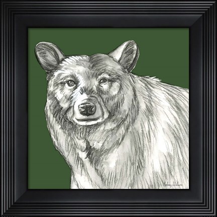 Framed Watercolor Pencil Forest color V-Bear Print