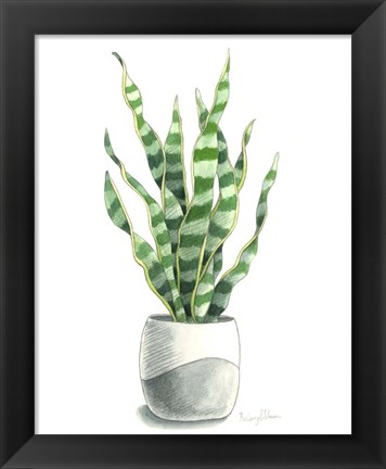 Framed Potted Exotics I Print