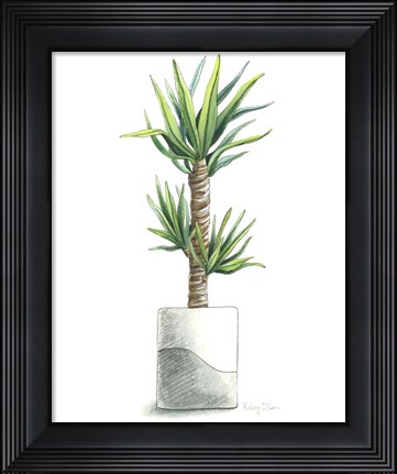 Framed Potted Exotics III Print