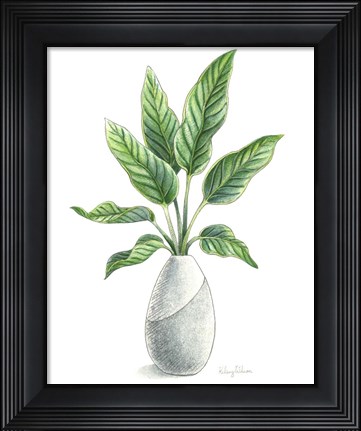 Framed Potted Exotics IV Print