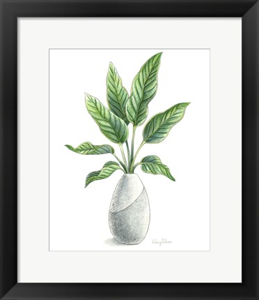 Framed Potted Exotics IV Print