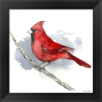 Framed Birds &amp; Branches I-Cardinal Print