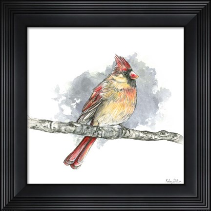 Framed Birds &amp; Branches II-Female Cardinal Print