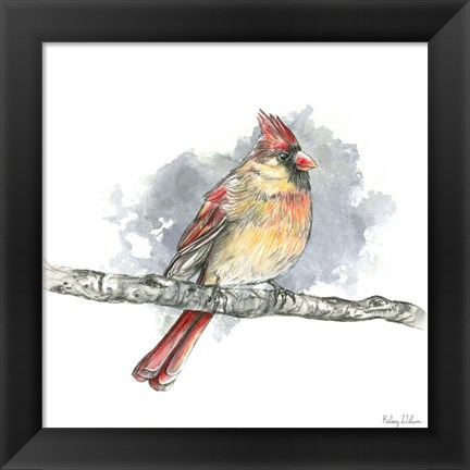 Framed Birds &amp; Branches II-Female Cardinal Print