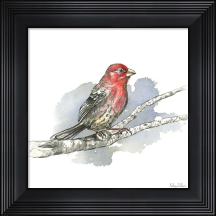Framed Birds &amp; Branches IV-House Finch Print