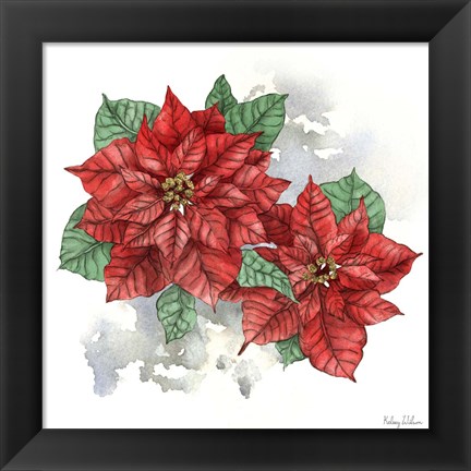 Framed Winter Poinsetta II Print