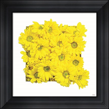 Framed Floral Pop II Print