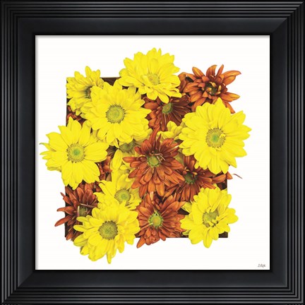 Framed Floral Pop III Print