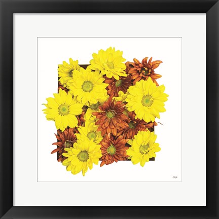 Framed Floral Pop III Print