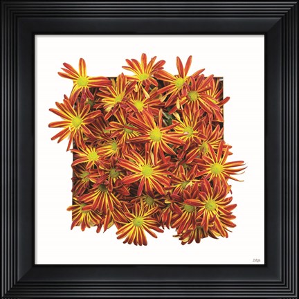 Framed Floral Pop IV Print