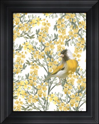 Framed Yellow Spring Finch Print