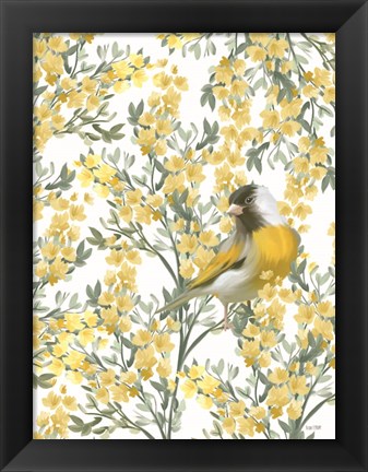 Framed Yellow Spring Finch Print