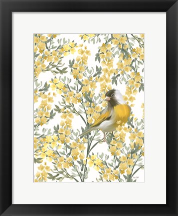 Framed Yellow Spring Finch Print