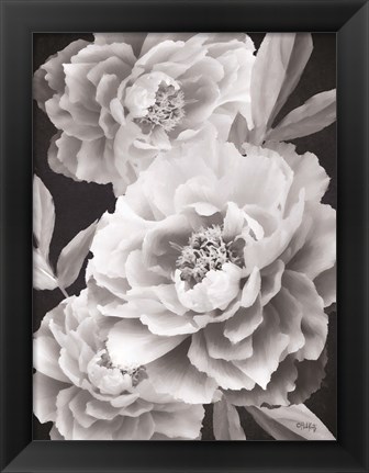 Framed Black and White Peonies Print