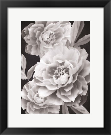 Framed Black and White Peonies Print