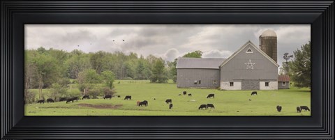 Framed Grazing Away Print