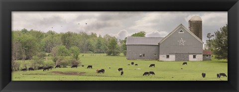 Framed Grazing Away Print