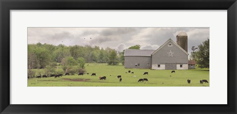 Framed Grazing Away Print