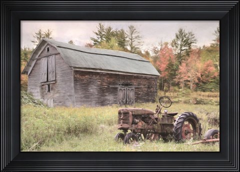 Framed Another Year Older Print