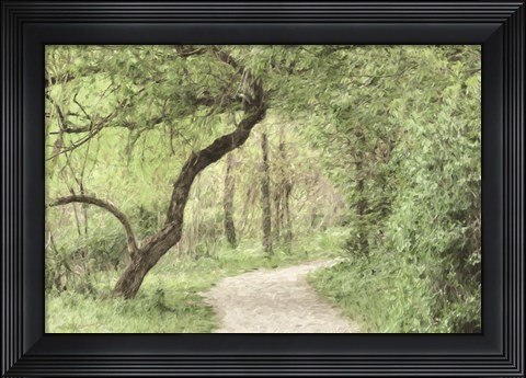 Framed Wildwood Lake Print