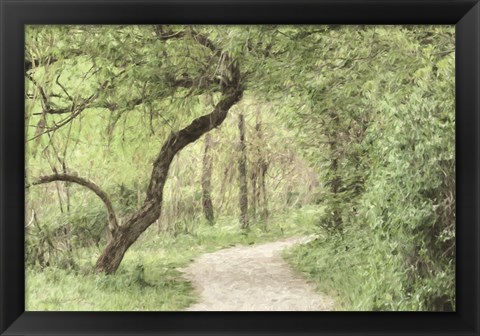 Framed Wildwood Lake Print