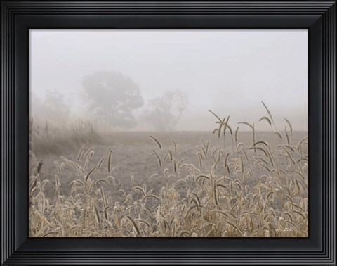 Framed Roadside Grass Print