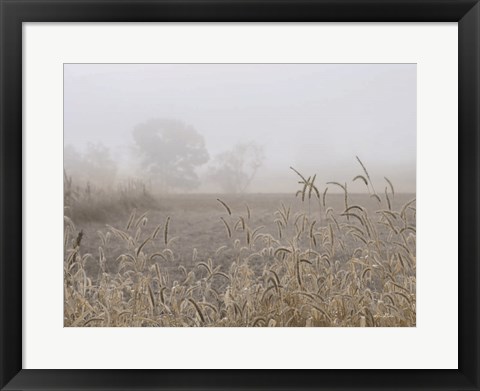 Framed Roadside Grass Print