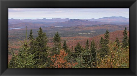 Framed Adirondack Panorama Print