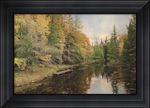 Framed Reflections of Nature Print