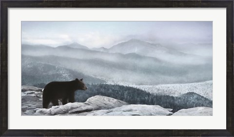 Framed Cascade Mountain Bear Print
