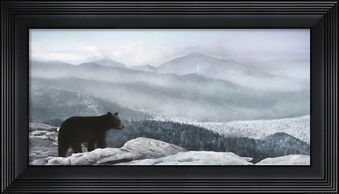 Framed Cascade Mountain Bear Print