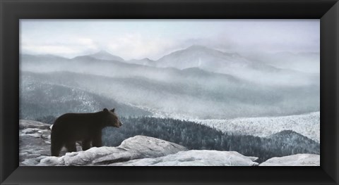 Framed Cascade Mountain Bear Print