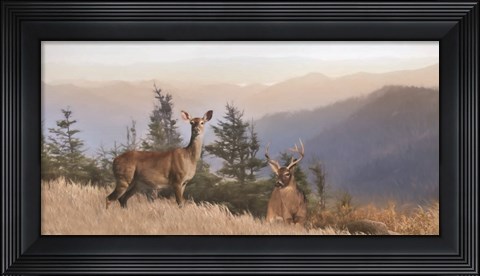 Framed Cascade Mountain Deer Print