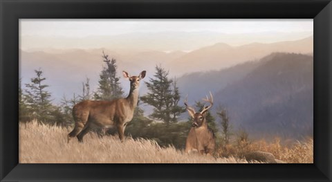 Framed Cascade Mountain Deer Print