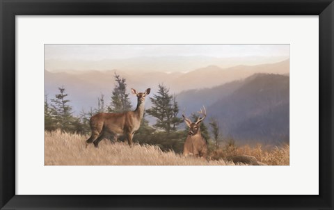 Framed Cascade Mountain Deer Print